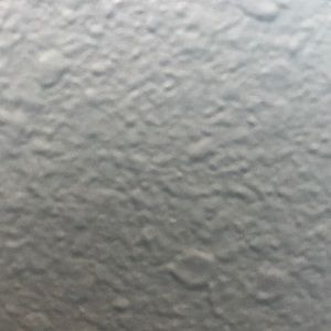 Meet your Posher, Litzi